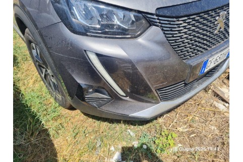 2021 Peugeot 2008, Dyzelinas